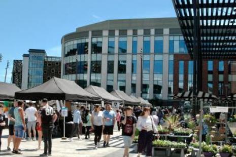 young traders market
